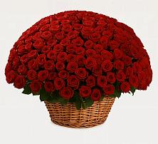 Премиум букет из: Розы в Малых Дербетах